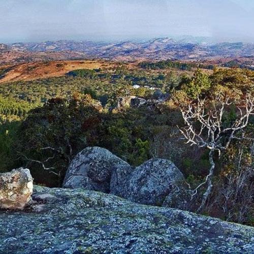 Ausblick Ntchisi Forest Reserve