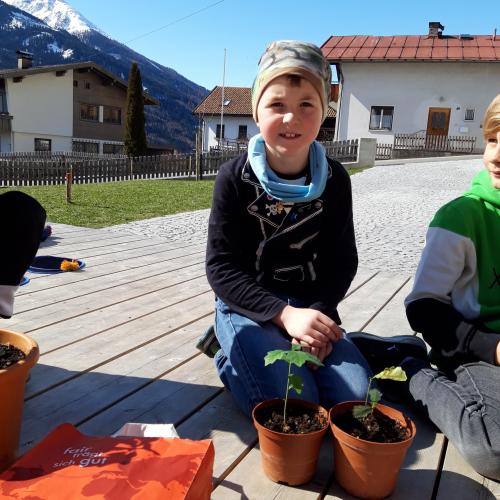 Eichenprämierung 12