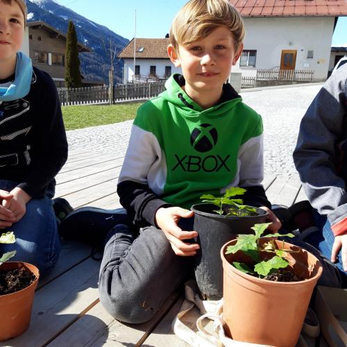 Eichenprämierung 13