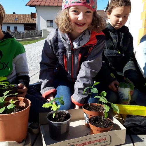 Eichenprämierung 11