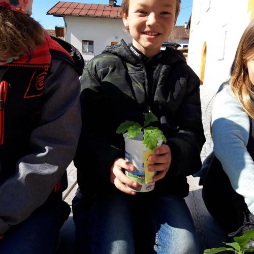 Eichenprämierung 10