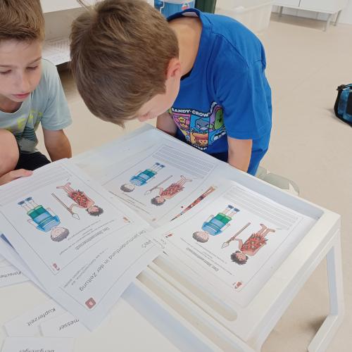 Steinzeitprojekt 2023_26