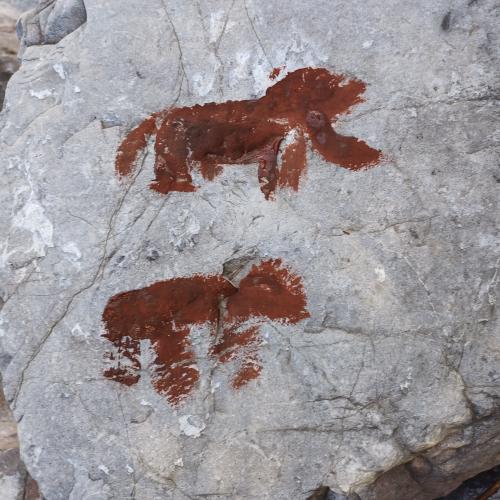 Steinzeitprojekt_2023_Köterbach_08